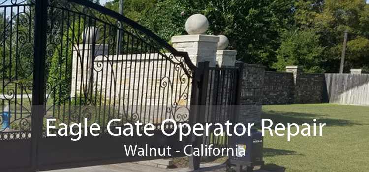 Eagle Gate Operator Repair Walnut - California