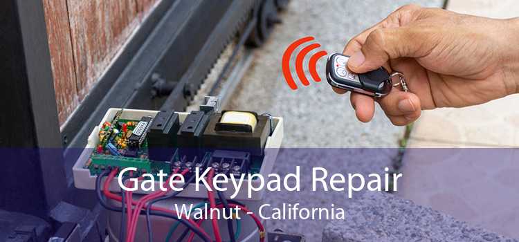 Gate Keypad Repair Walnut - California