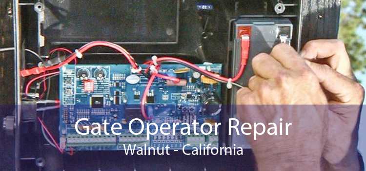 Gate Operator Repair Walnut - California