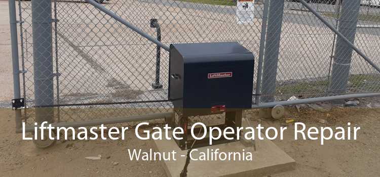 Liftmaster Gate Operator Repair Walnut - California