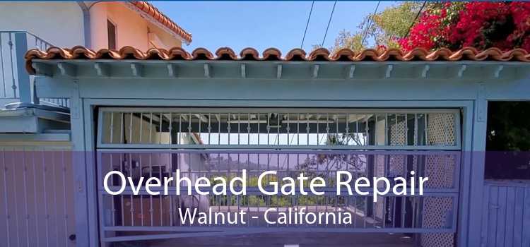 Overhead Gate Repair Walnut - California