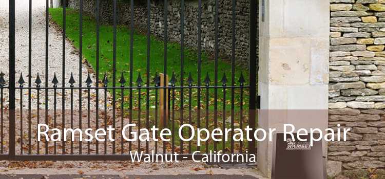 Ramset Gate Operator Repair Walnut - California