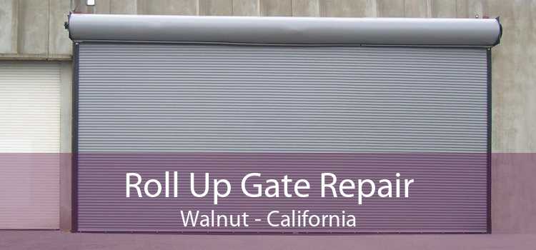 Roll Up Gate Repair Walnut - California